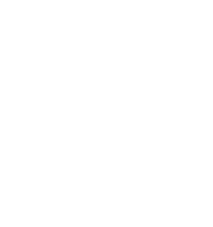 broom icon